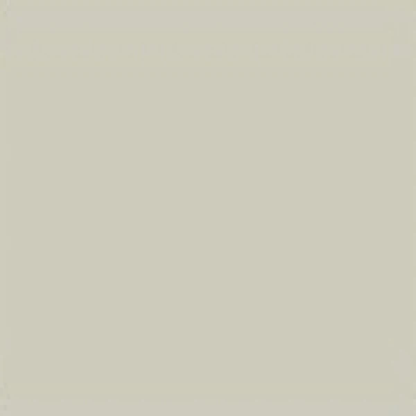 Con lăn gốm In màu Xám bạc